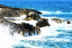 波涛汹涌海岸风光摄影图片